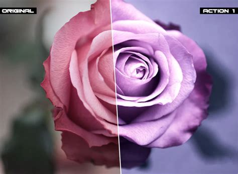 Free & Premium Download for Flower Photoshop Actions