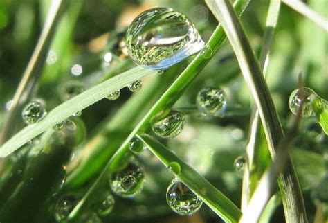 Water droplet macro by Susan Miller | Photography talk, Macro ...