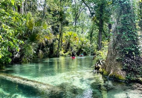 10 Prettiest Natural Springs in Florida to Swim and Kayak — Nomads in ...