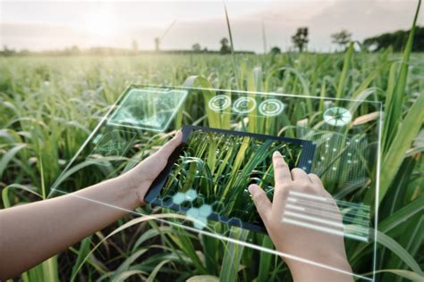 How Artificial Intelligence Can Be Used in Agriculture