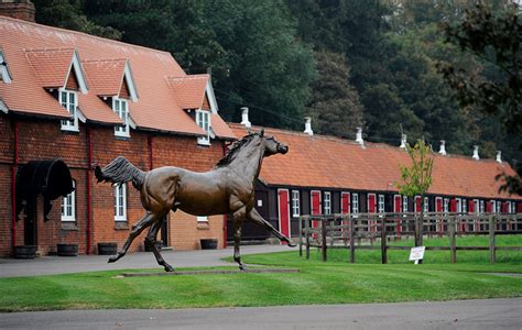 Introducing the Cheveley Park Stud Stallions - Discover Newmarket