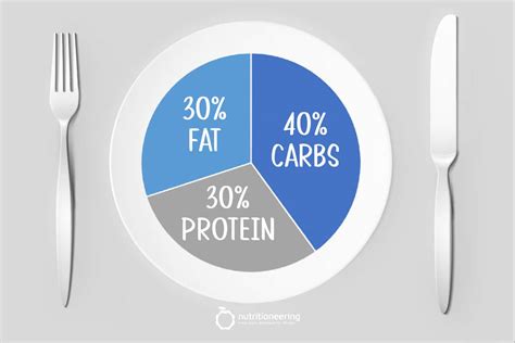 40-30-30 Diet Results, Pros/Cons, and Macro Calculator