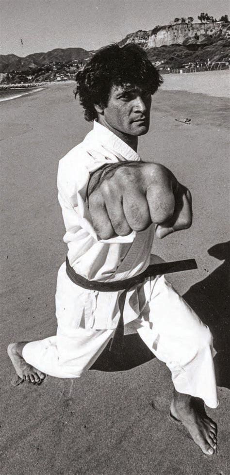 Stone on Combat: Collected Quotes From Karate Legend Mike Stone - Black ...