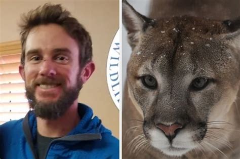 Mountain Lion Attacks Human