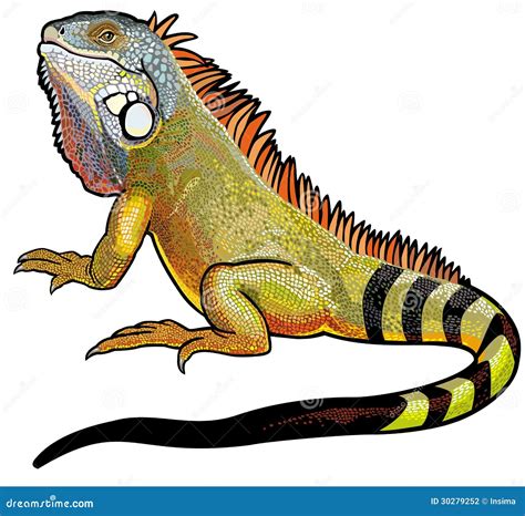 Green Iguana Portrait On Black Background Posing In Studio, Photo Realistic Image, Generative Ai ...