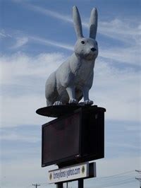 School Mascot Jackrabbit - Forney, TX - Roadside Attractions on ...