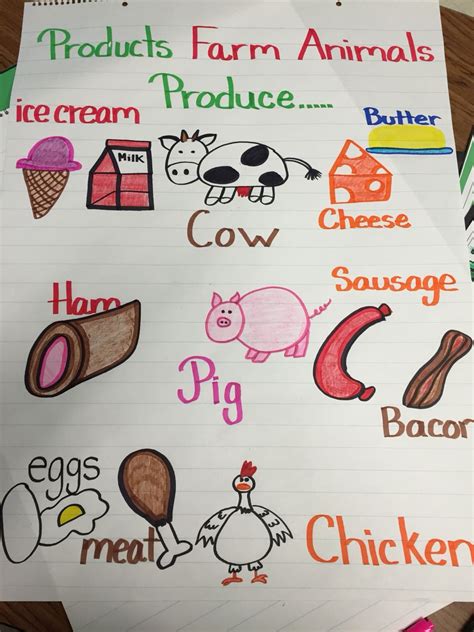 Farm animals and their products chart | Animal Big