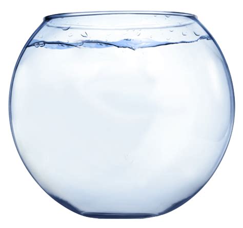 Fish Bowl With Water Transparent Png Stickpng - vrogue.co