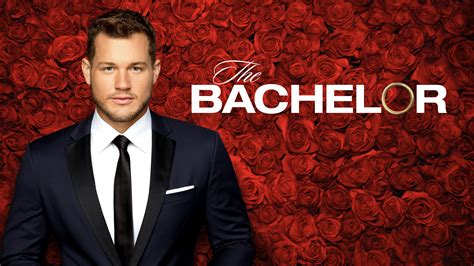 Watch The Bachelor - Season 25 Episode 11 : Week 11 HD free TV Show ...