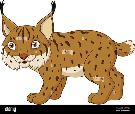 Cartoon lynx isolated on a white background Stock Vector Image & Art - Alamy