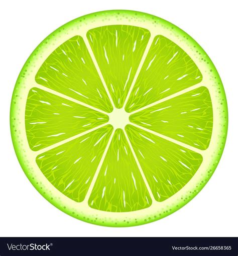 Lime slice isolated on white background. Fresh fruit. Download a Free ...