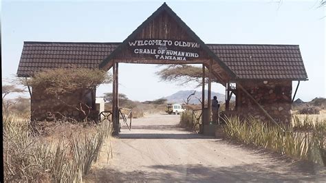 Olduvai Gorge Museum Tanzania — Ngorngoro conservation Area