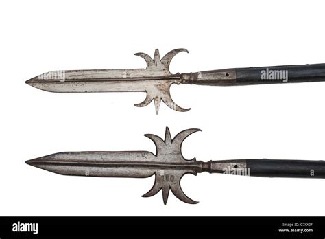 Halberd High Resolution Stock Photography and Images - Alamy