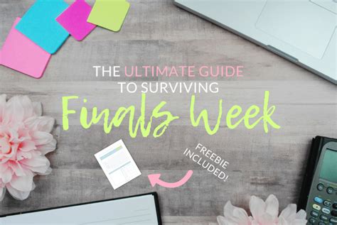 The Ultimate Guide to Surviving Finals Week - The Olden Chapters