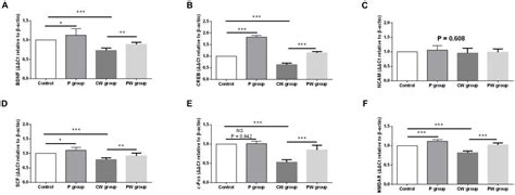 Frontiers | Lactobacillus johnsonii BS15 Prevents Psychological Stress ...