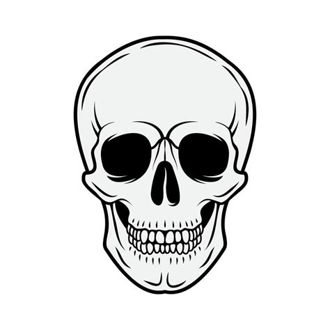 Human skull. Front view. Vector black and white hand drawn illustration isolated on white ...