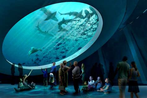 Frost Science Museum's New Aquarium to Hold Crocodiles and Hammerhead ...