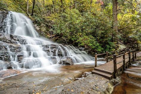 6 Best Hiking Trails in the Smoky Mountains National Park with ...