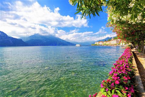 Flowers on the lakeside of Bellagio, Province of Como, Lake Como, Italian Lakes, Lombardy, Italy ...