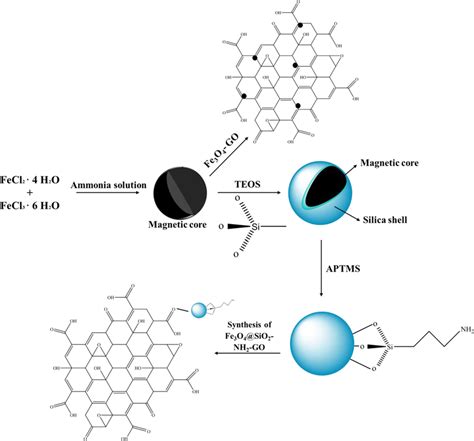 Schematic of synthesis process of Fe3O4-GO and Fe3O4@SiO2-NH2-GO ...