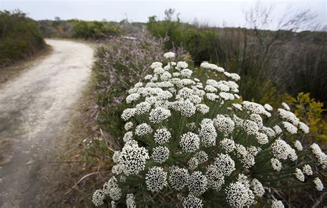 UWC on Twitter: "The reserve occurs on an Ecotone and protects ...