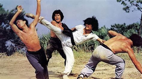 Incredible Kung Fu Mission (1979) — The Movie Database (TMDb)