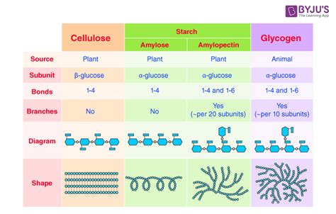 2.Compare the functions of starch and glycogen with a note about their ...