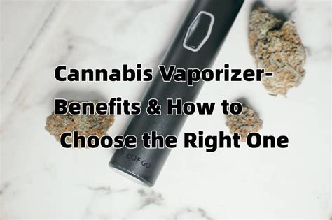 Cannabis Vaporizer-Benefits and how to choose the right one| VIVANT ...