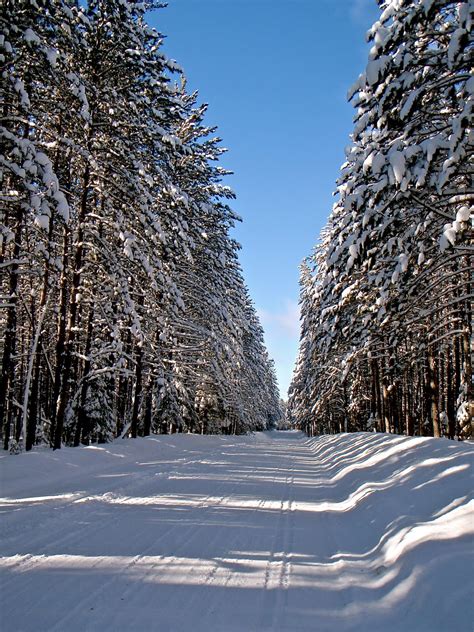 Bill's Magical Mystery Tour...: A Real Northern Minnesota Winter