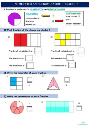 Numerator & Denominator. Interactive worksheet | TopWorksheets