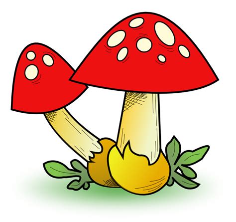 Cartoon Image Mushroom - ClipArt Best