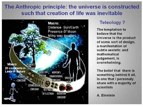 THE ANTHROPIC PRINCIPLE IS FOR SAPIENTS ONLY? | Vern Bender