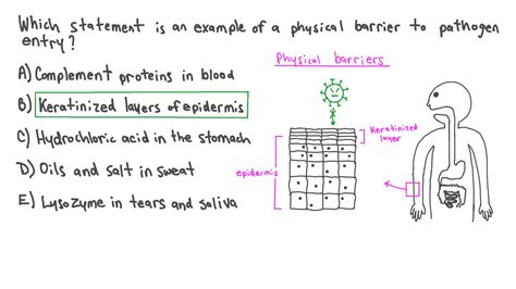 Question Video: Identifying Physical Barriers to Pathogens | Nagwa