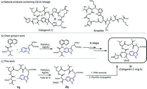 Synthesis of bioactive and stabilized cyclic peptides by ...