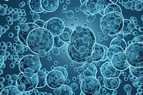 Assessing the efficiency and efficacy of nanobubbles applied to water ...