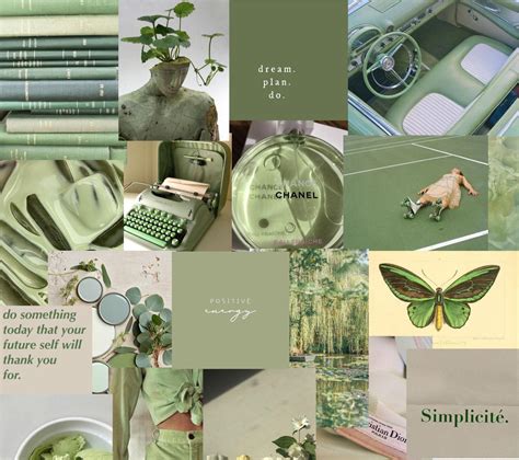 Sage Green Collage Wallpapers - Top Free Sage Green Collage Backgrounds ...