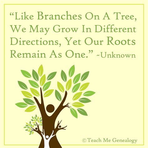 Quotes About Growing Trees. QuotesGram