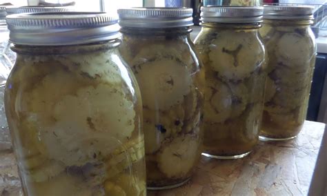 Armenian Pickles | Harvest recipes, Armenian cucumber recipe, Cucumber ...