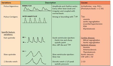 Arterial Pressure Waveform Variations | Member Login | Oakes Academy