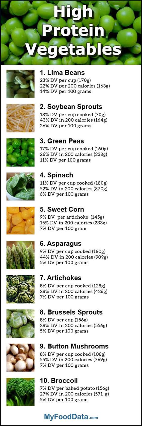 Top 10 Vegetables Highest in Protein | High protein vegetables, Health and nutrition, Workout food