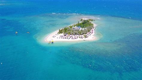 great - Ile aux Canards island, Noumea Traveller Reviews - Tripadvisor