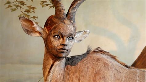 Human-Looking Faces on Animal Bodies: Taxidermy as Art