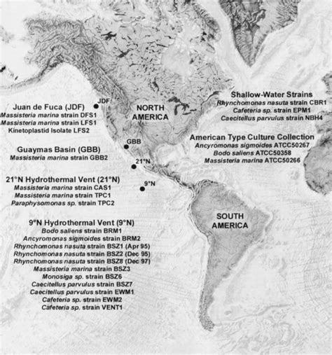 Map showing locations and geological features of four deep-sea... | Download High-Resolution ...