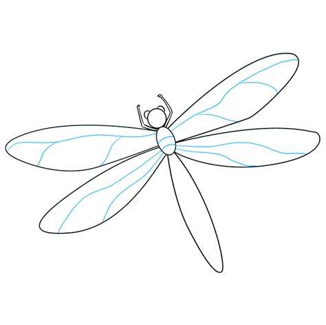 How to Draw a Dragonfly - Really Easy Drawing Tutorial in 2022 ...