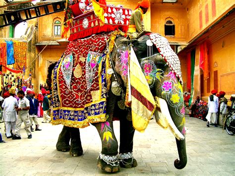 File:Decorated Indian elephant.jpg - Wikipedia, the free encyclopedia