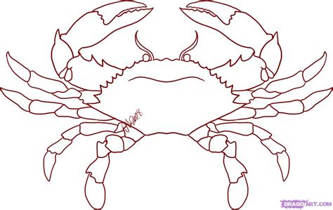 Learn to Draw a Beautiful Crab