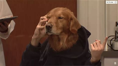 Check Out This Human/Dog Hybrid [SNL Rewind]