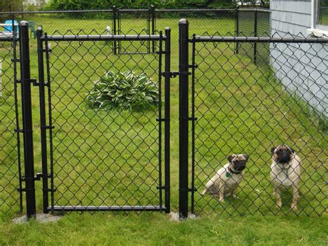 Best Dog Fence For Large Dogs at Jack Johnson blog