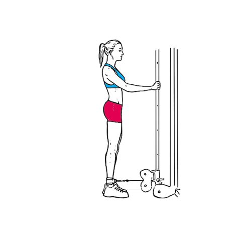 Pin on All Butt / Glute Exercises