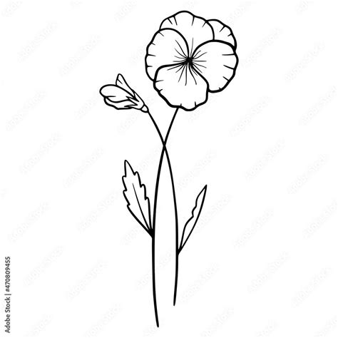 Violet flowers on white background. Hand-drawn illustration of a spring ...